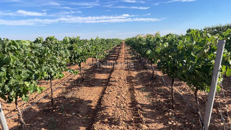 Foto 3a5ee5fb-f1ce-4e01-a7e0-bf2a0c1ec645. Landgut in n-310 537 in Tomelloso