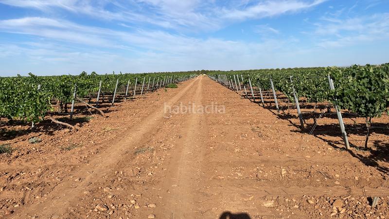 Foto 4d16a0ce-c003-4d5f-a735-fe0a61237e12. Landgut in n-310 537 in Tomelloso