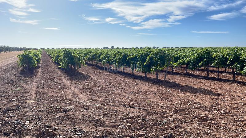 Foto ad6b5e6e-03cc-45ee-9bf2-eaf74a26b695. Landgut in n-310 537 in Tomelloso