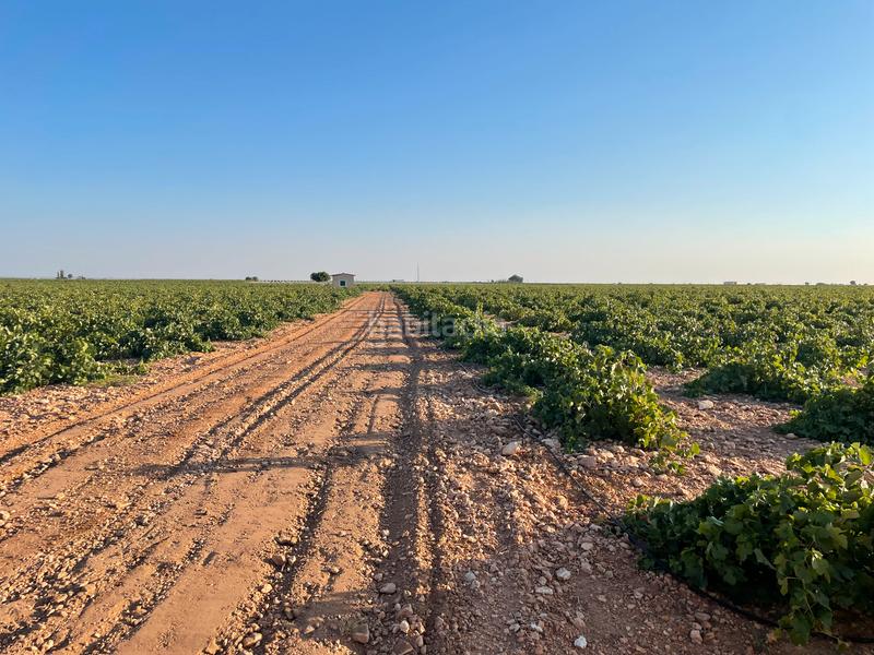 Foto 108aed63-9db8-4a77-9a41-be78814e8a3e. Landgut in n/a in Tomelloso