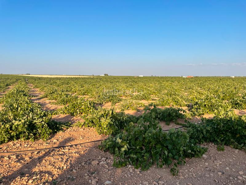 Foto 10f12b8a-5321-4244-967d-f846344fc275. Landgut in n/a in Tomelloso