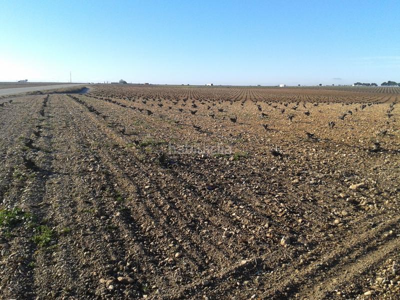 Foto 1863476e-7709-4251-8345-dfaa00067000. Landgut in n/a in Tomelloso