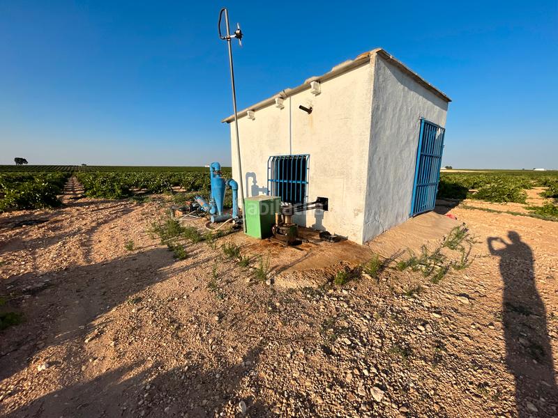 Foto 25ab4557-5459-400c-bc8d-b7180c6b3dad. Landgut in n/a in Tomelloso