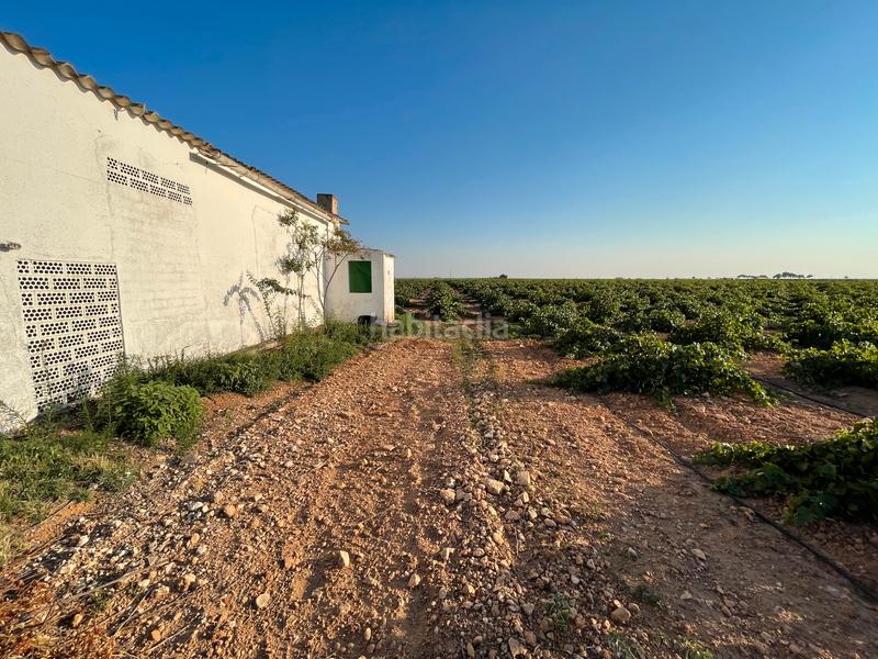 Foto 2700a4d2-10b6-4903-8daa-fb4b51ae8249. Landgut in n/a in Tomelloso