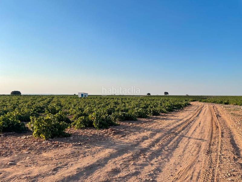 Foto 2ece2c93-f210-40d4-9f47-1f9faca89e56. Landgut in n/a in Tomelloso