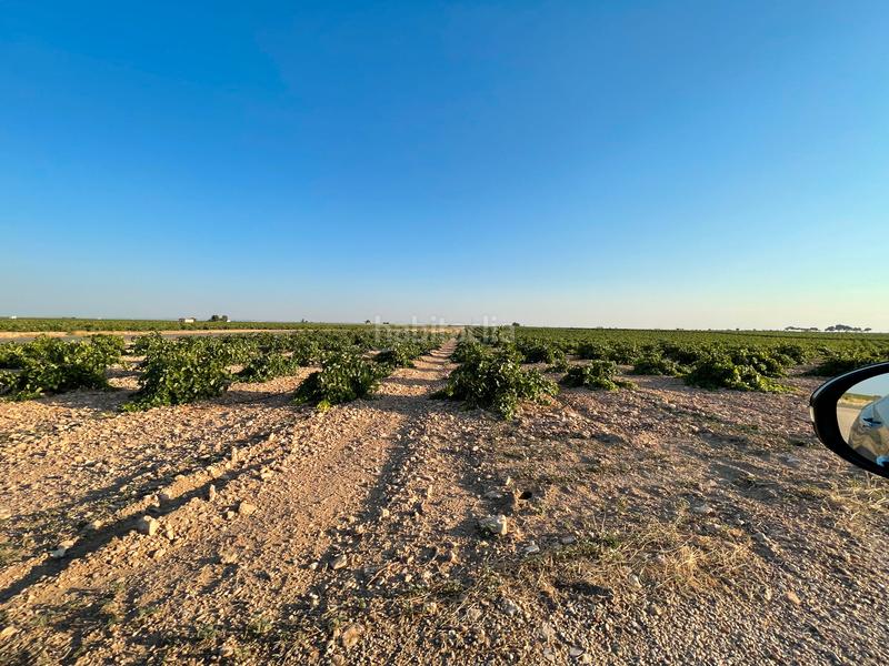 Foto 3eef00b2-e451-4bc8-b551-0079960c758c. Landgut in n/a in Tomelloso