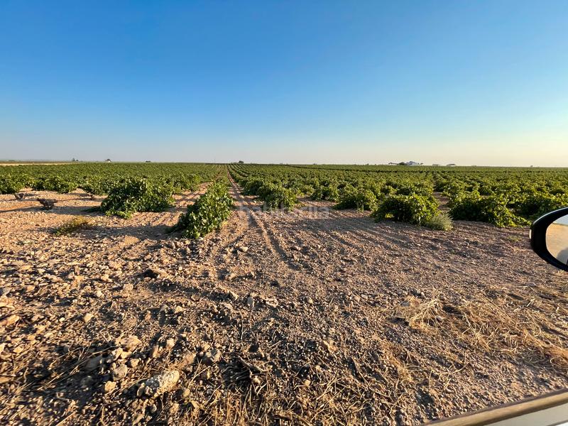 Foto 4af2a932-91ac-4411-9600-3e4e5a1e57a2. Landgut in n/a in Tomelloso