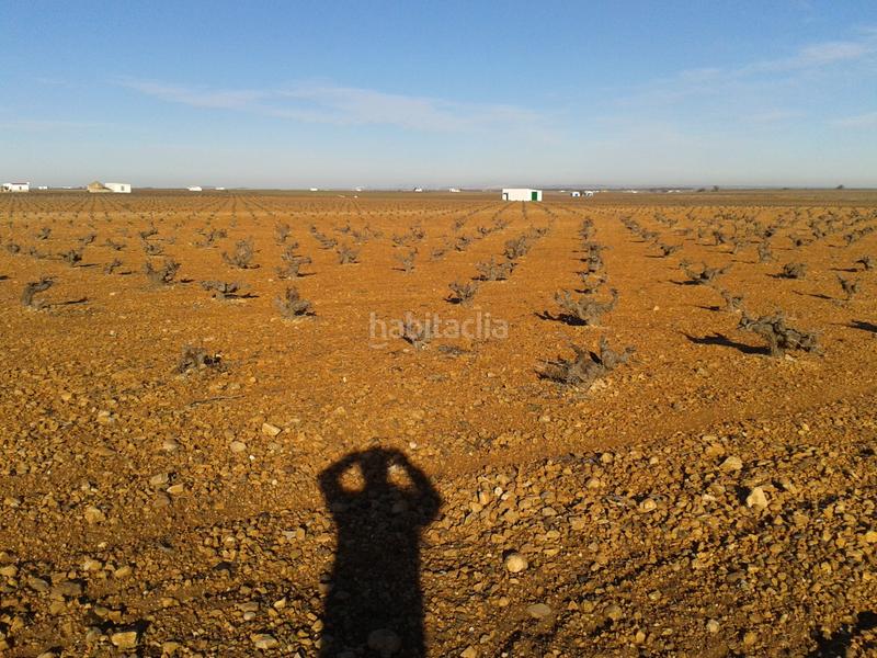 Foto 57f6e850-530d-43c6-b9a6-99c38ff71909. Landgut in n/a in Tomelloso