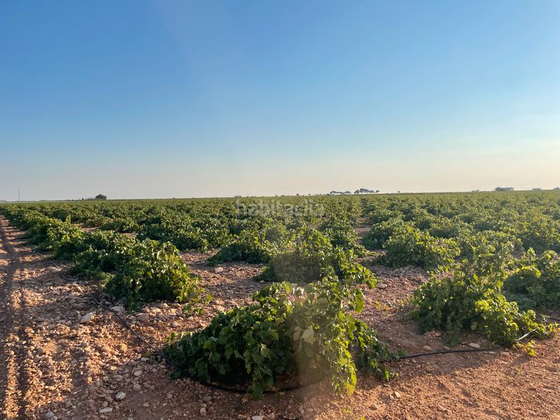 Foto 6383eac3-baa7-47a1-9ea8-24c294f772da. Landgut in n/a in Tomelloso