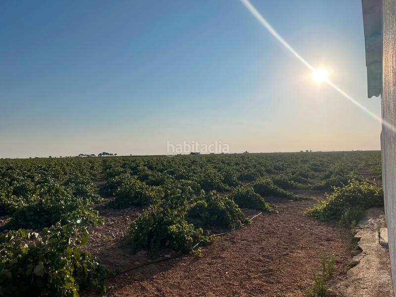 Foto 7166bd78-61f0-4358-b9a2-d8f5e206ccd3. Landgut in n/a in Tomelloso