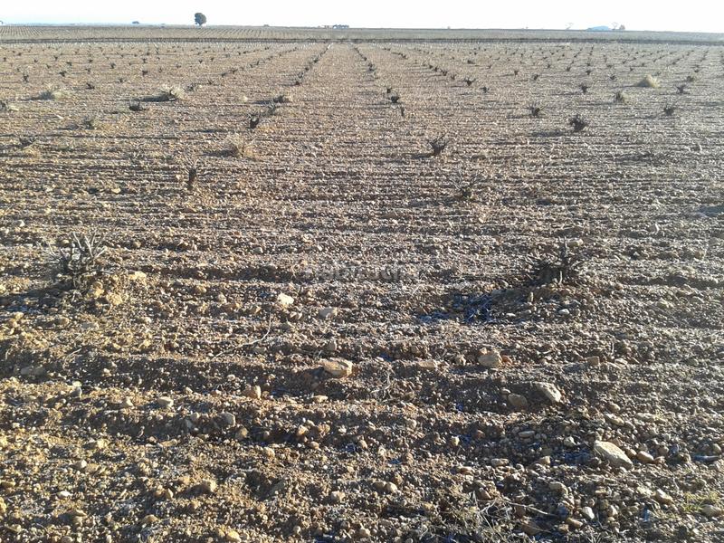 Foto 73f1010b-a745-4980-991b-d4badff10f15. Landgut in n/a in Tomelloso