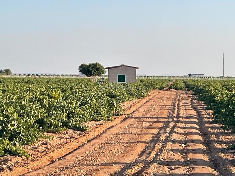 Foto 7aebdd9d-17a6-4e4c-9336-cc6ce903008e. Landgut in n/a in Tomelloso