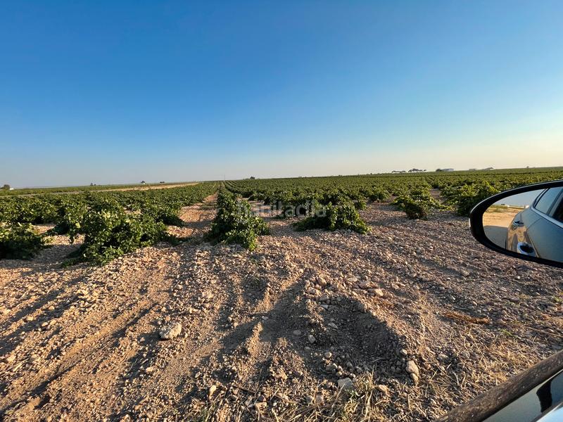 Foto 86d95536-f89c-41f8-a855-6f3e982630e1. Landgut in n/a in Tomelloso