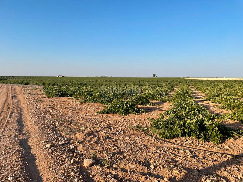 Foto a1e7bf9e-4b8d-476c-9d21-22388605bdfa. Landgut in n/a in Tomelloso