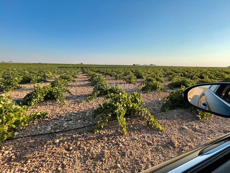 Foto b1dffea7-363b-485a-88ea-b21760f1ed75. Landgut in n/a in Tomelloso