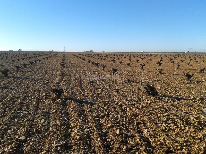 Foto c51ef382-4401-4d7a-a0bd-be8d81d1de95. Landgut in n/a in Tomelloso