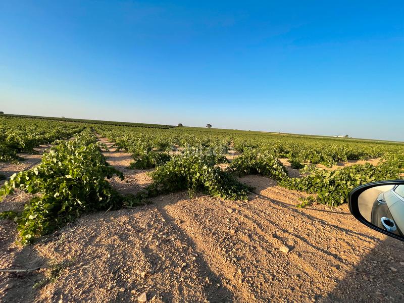 Foto c89c60d3-ca26-42ae-bb0e-4df47c2ede82. Landgut in n/a in Tomelloso