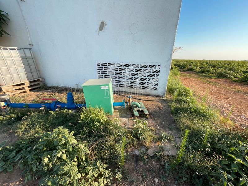 Foto cba6f64d-3d36-4a0e-a171-d3035a06450f. Landgut in n/a in Tomelloso