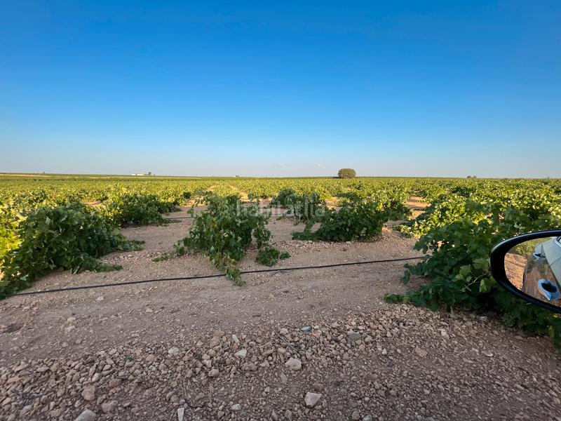 Foto d62c76df-1763-42da-b8e8-d6ce34f2293c. Landgut in n/a in Tomelloso