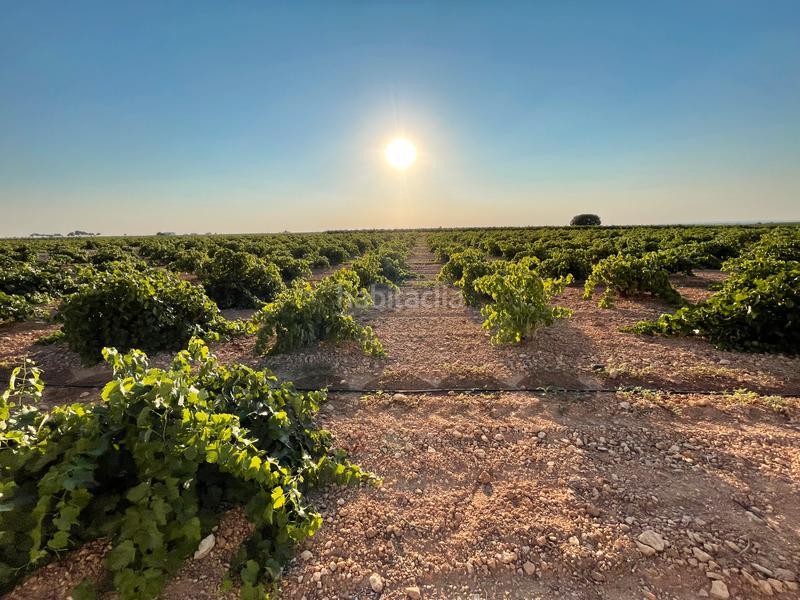 Foto e28364f1-b54f-4cc5-bd95-4b4225542eee. Landgut in n/a in Tomelloso