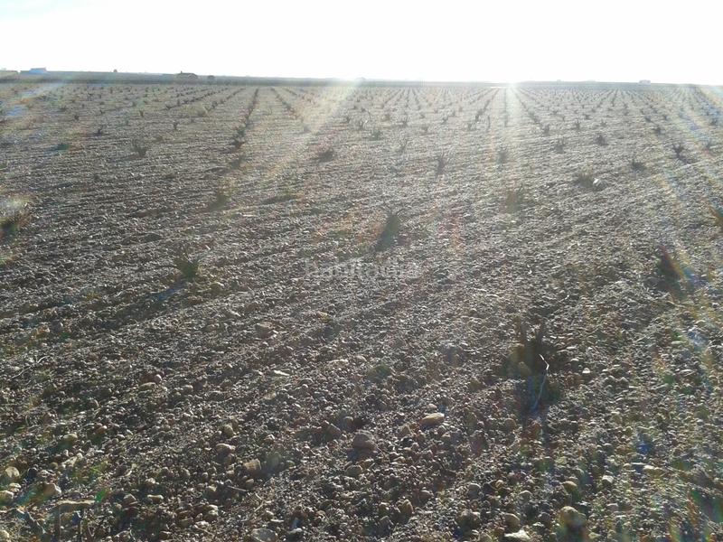 Foto e31eb25d-d29c-4e2f-9f04-807231b8c520. Landgut in n/a in Tomelloso