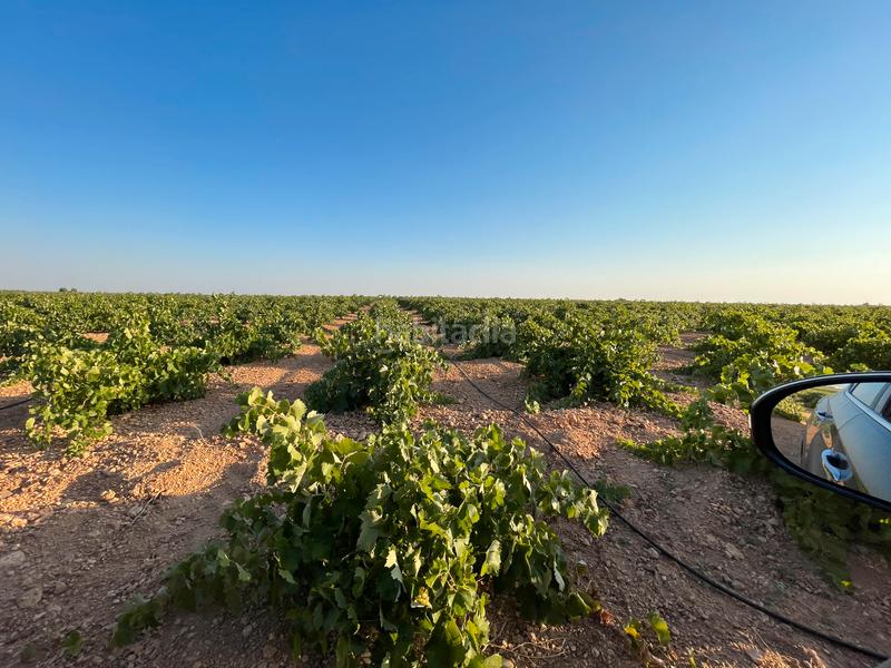 Foto efab2db1-2b62-4c95-9fdb-3d7c9f22742f. Landgut in n/a in Tomelloso