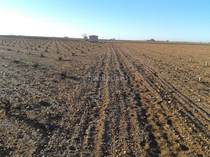 Foto fea5e8f4-73b1-473c-a3aa-447a97fab940. Landgut in n/a in Tomelloso