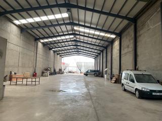 Rent Industrial building in Tomelloso. Nave de nueva construcción