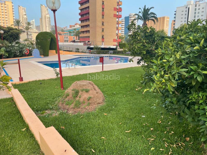 Foto 84bd8b8b-4001-47fc-bfbc-e34cf51d76b3. Pis amb aparcament piscina a Levante Alto Benidorm