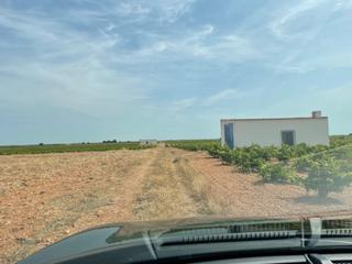 Rural plot in Socuéllamos. Viña bajá en venta