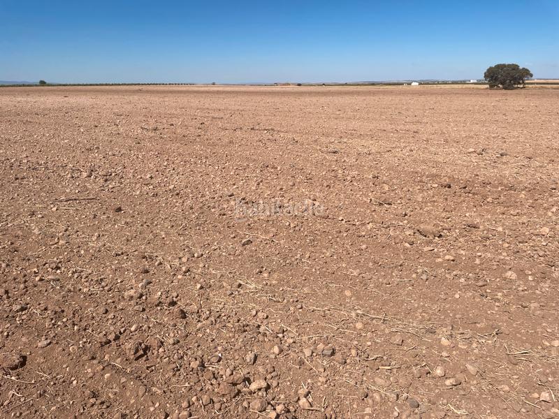 Foto 4ed1eaf6-8122-4433-8dd9-c5e111bfae19. Fondo rustico in Toboso (El)