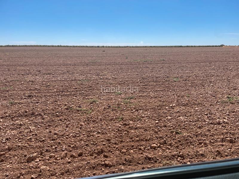 Foto 5cae8dd5-d31b-4a37-94c2-dcebc6a6425d. Fondo rustico in Toboso (El)