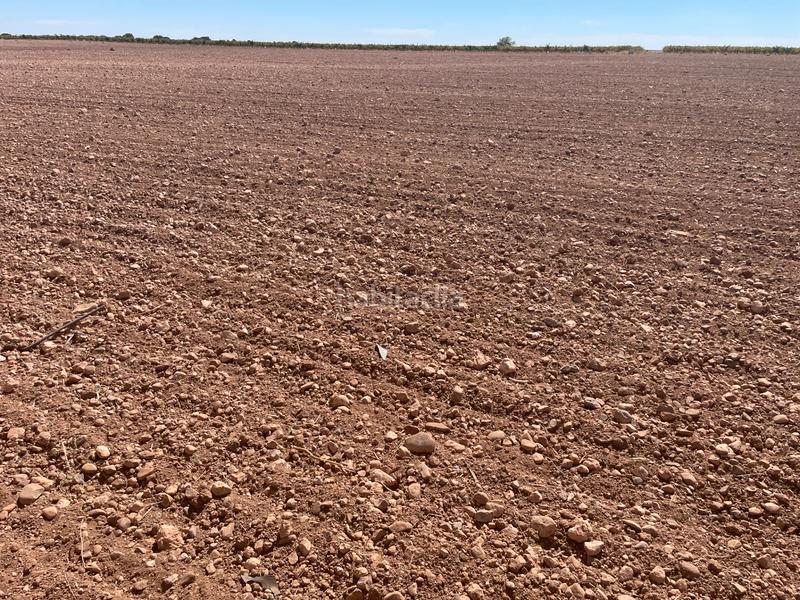 Foto a50a49d4-740f-474b-a439-3791ad17202e. Fondo rustico in Toboso (El)