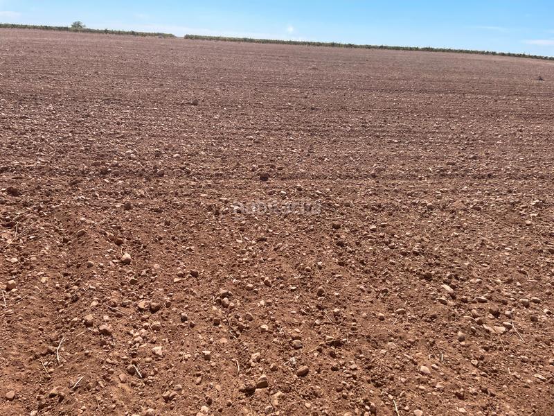 Foto a8afdcd9-2f9a-46d0-965b-b1ab63aa6ccf. Fondo rustico in Toboso (El)