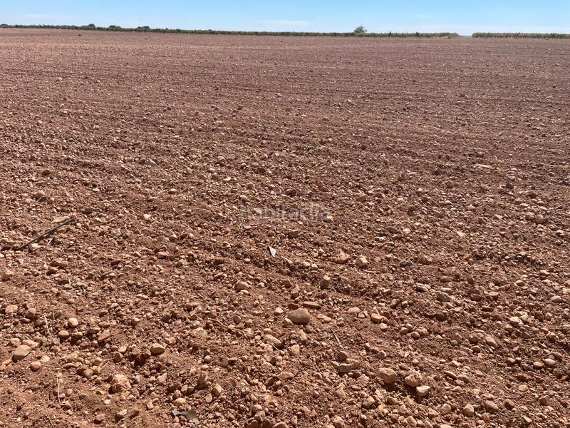 Foto b0724237-b518-48f5-addd-302e55c6a167. Fondo rustico in Toboso (El)