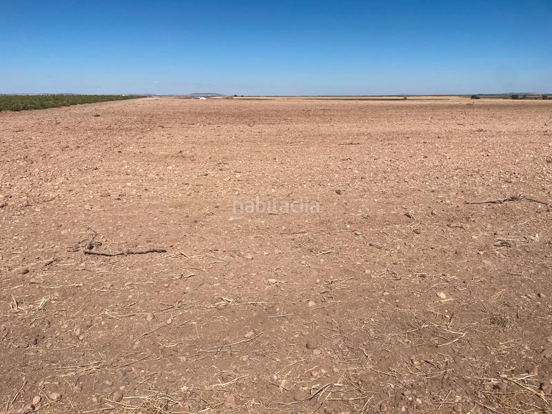 Foto cad46dd8-8f44-4738-9af2-0654df19c1ae. Fondo rustico in Toboso (El)