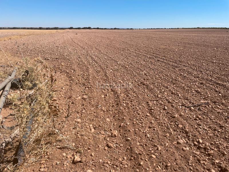 Foto f0bda9ad-7d89-4a40-bd34-e3e42b7a8200. Fondo rustico in Toboso (El)