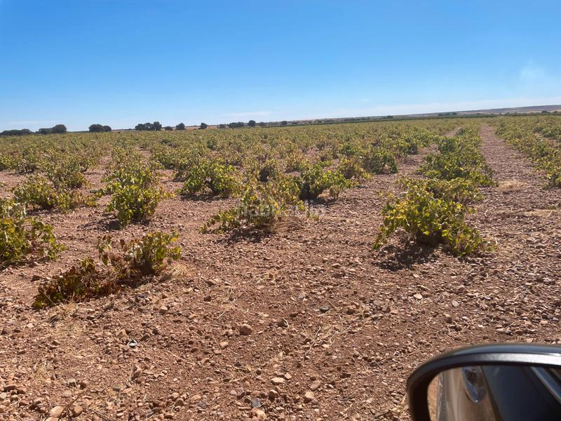 Foto f1e57257-6190-42ca-bfa9-3d9d3ed27ba1. Fondo rustico in Toboso (El)