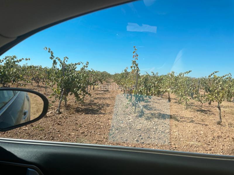 Foto 1c3afe79-6d1a-475a-8322-faa4b3da1b99. Finca rústica en n/a en Campo de Criptana