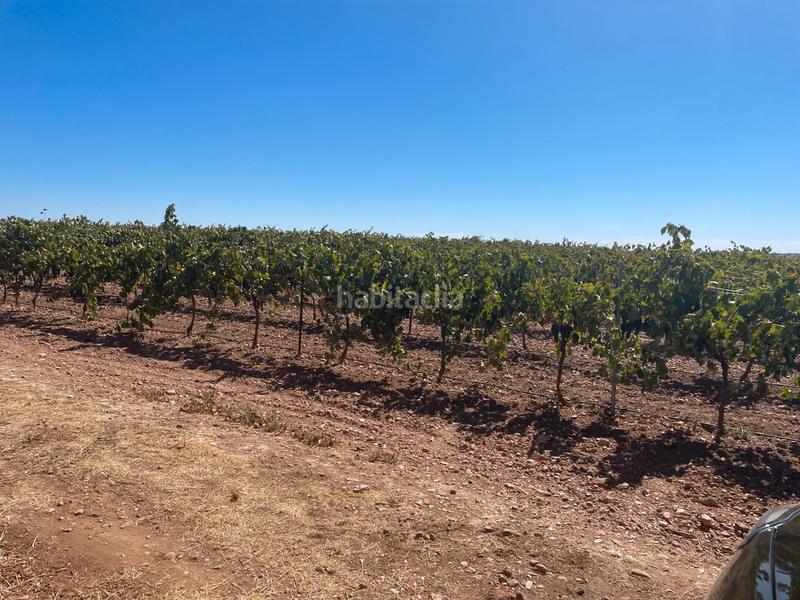 Foto 76954d3f-1f94-4585-90a1-81e228176c45. Finca rústica en n/a en Campo de Criptana