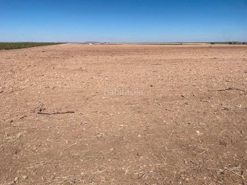 Foto e949e612-0aef-405f-83af-b8b128de69b0. Finca rústica en n/a en Campo de Criptana