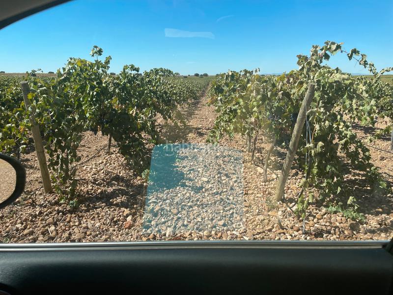 Foto efd810b2-9e97-43e3-a451-cb3ec04057d2. Finca rústica en n/a en Campo de Criptana