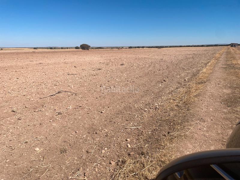 Foto f986c0e3-3a26-4118-9cd0-0dc6545090bc. Finca rústica en n/a en Campo de Criptana