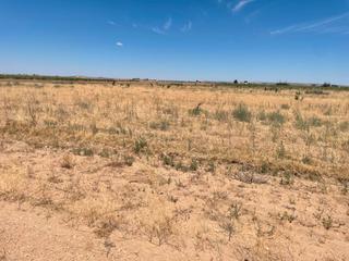 Rural plot in Arenales De San Gregorio. Venta de finca de tierra de labor en escrituras esta toda de reg