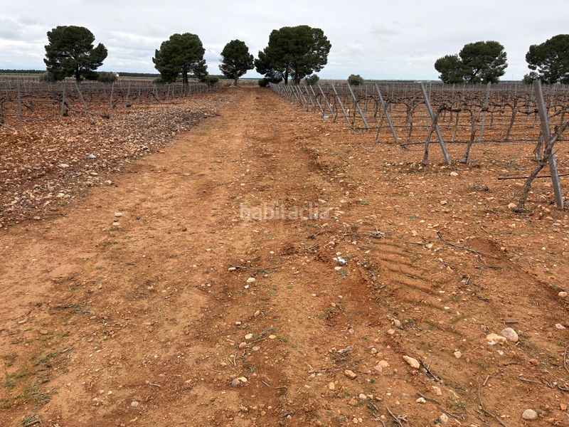 Foto 8ec5d01d-5a53-470b-b099-7448f761a8e2. Rural plot in camino de Tomelloso a villarrobledo 562 in Tomelloso