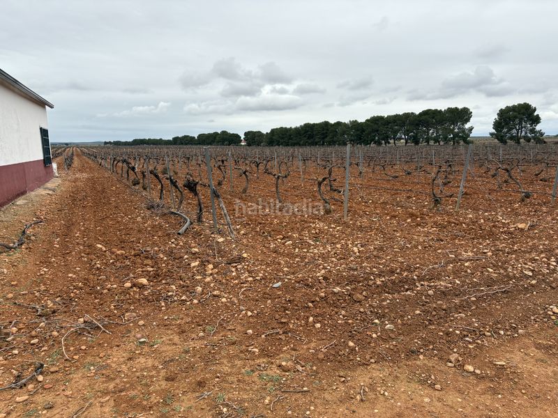 Foto 985a6a9d-64ae-43b0-8e83-51f2f5deb31b. Rural plot in camino de Tomelloso a villarrobledo 562 in Tomelloso