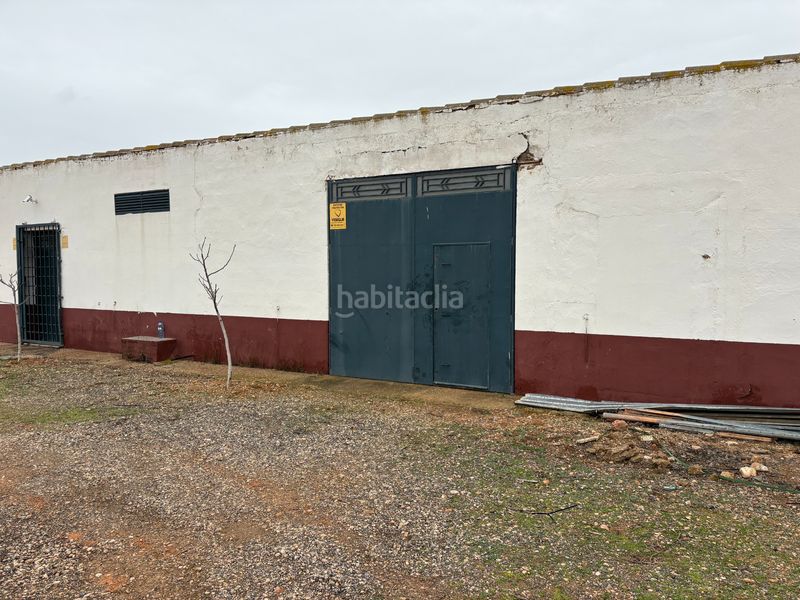 Foto a1108a94-6e8a-4810-b86b-11a585073659. Rural plot in camino de Tomelloso a villarrobledo 562 in Tomelloso
