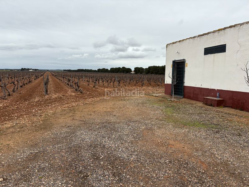 Foto b68a0266-d834-494f-8119-ed1e6860fa34. Rural plot in camino de Tomelloso a villarrobledo 562 in Tomelloso