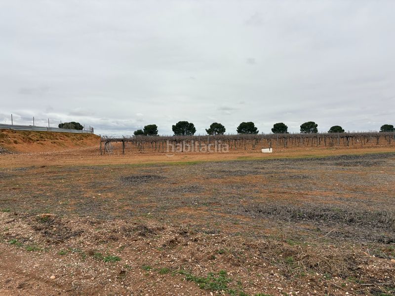 Foto ce50fa7c-3c60-490a-81e2-cba7f5aee950. Rural plot in camino de Tomelloso a villarrobledo 562 in Tomelloso