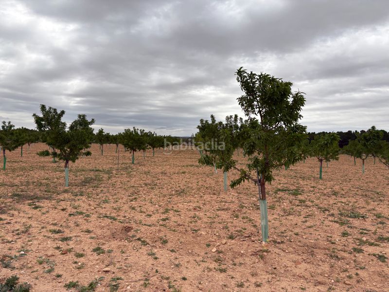 Foto 39fc9fc7-e235-4eea-8cc3-64db0d4ddf6e. Finca rústica a n/a a Bonillo (El)